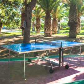 Tavolo da ping pong - Sport a Borgo Pida